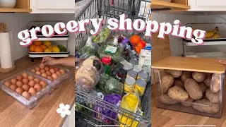 WEEKLY ALDI AND SAMS CLUB GROCERY SHOPPING