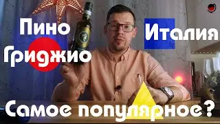 Обзор из красного и белого. Исси Пино Гриджио Италия Венето. Какое 