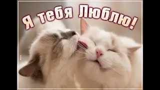 Вечерний стрим🔴 | Pubg mobile