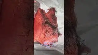 Brazilian Wax First Timers Body Hair 😳 😂 #shorts #tiktok #wax