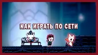 Полный гайд по мультиплееру в hollow knight + гайд по скинам