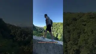 Тисо-самшитовая роща #сочи #путешествия