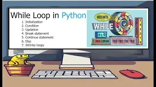 Understanding the While Loop in Python 2024