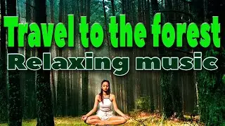 Travel to the forest.Relaxing music.Meditation Music