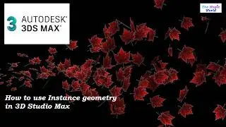 How to use instance geometry under Particle system in 3D studio Max