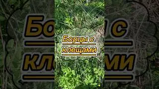 Борцы с клещами