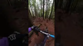 Pro Lines and New Lines