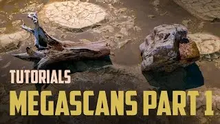 Quixel Megascans. Megascans Studio. Analyze of tool and render it assets in Vray. Part 1