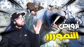ARK Maroc Valguero #6 🔥I Tamed Two Tigers Aggressive 🔥جبث جوج نمورا هربانين
