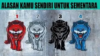 Tes Kepribadian alasan kamu butuh sendirian untuk sementara. tes psikologi
