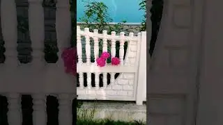 Ось така краса #shorts #цвітутьпіонії