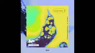 Voices Vol. 4 | R&B x Dancehall Sample Pack | TOKIOWAHL x OSEI