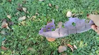 осень во всей красе🍂..остатки урожая..в гостях у дочки