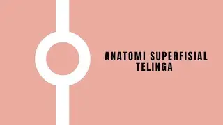 Anatomi superfisial telinga - Dasar