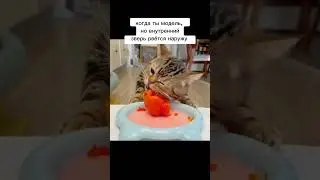 Жёсткая диета🥲 #юмор #смехдослез