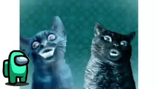 Preview 2 Numa Cat Effects round 1 vs My Main Channel (1/50) (SBP2WER1)