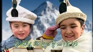 Sherazi Village Vlog | Biography | Sherazi Village Vlog Reality || Afzal Tabassum
