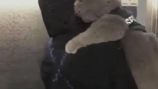 Атмосфера души