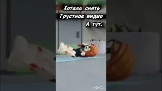хаха🤣