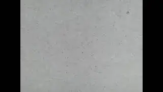 тетраселмис.