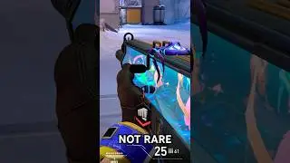 there's too many riot buddies now valorant 