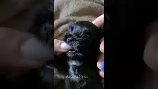 1, 2, 3, 4, 5
