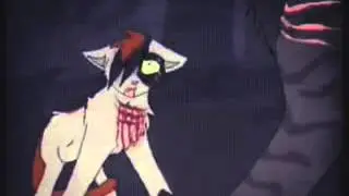 //Коты-Воители//-Безумие