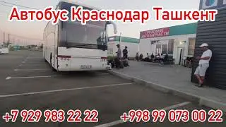 Автобус Ташкент Краснодар,￼ автобус Краснодар Ташкент, Краснодар Ташкент, Ростов-на-Дону Ташкент ￼￼
