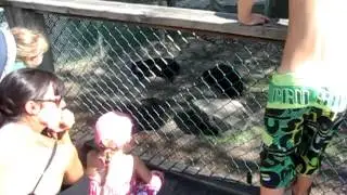Parc safari au québec 7 août 2012 part 12