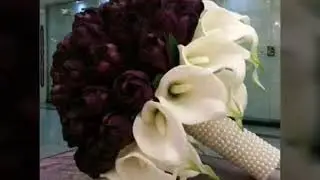 اغنية نرحل رشاد المداوي