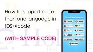 How to support different languages in iOS App (With Sample Code)