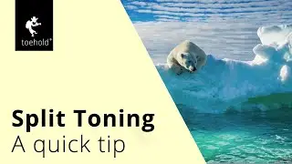 How to use Split Toning in Lightroom?