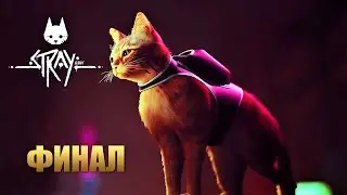 STRAY | Прохождение Игры на Русском | Финал