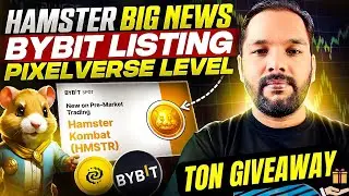 Hamster Big News ll Ton Giveaway ll Pixelverse Update