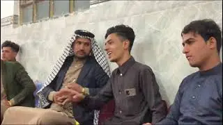 المهوال مرتضى الباشا زواج ابراهيم ثامر