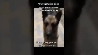 Немец 