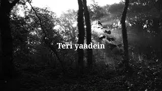 shelz - Teri Yaadein (Official Visualizer) | Prod. TRITO9