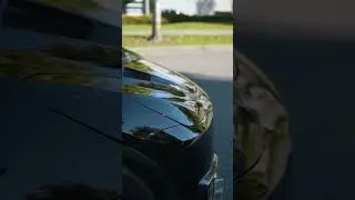 Beautiful model Y 