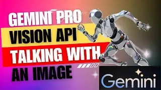 Google Gemini Pro Vision API with Python: Project - Talking With an Image
