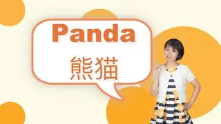 【熊猫】Panda in Chinese｜Chinese language learning ｜Chinese practice