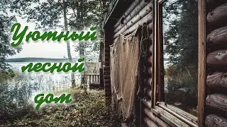 Поездка с друзьями в лесной домик на берегу озера.