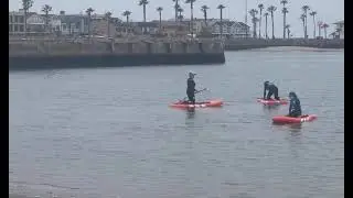 Mothers Day Demo