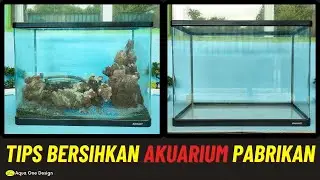 membersihkan akuarium pabrikan yang kotor dan berkerak jadi bersih maksimal
