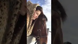 Конь дрыхнет))