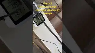 Часть 2. Технологичное спасение форели от замора.