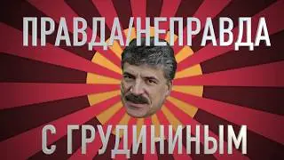 Правда/неправда с Грудининым