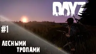 В глубь страны - DayZ