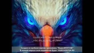 HIT#TARONA#2022#САРДОР ТАИРОВ НА ХАККИМ БОР#MEGASTAR#