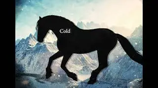 It’s too cold || credits: @SSO Noodles