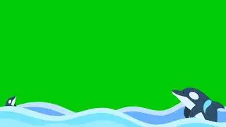 dolphins playing into the beach | dolphins playing scene green screen